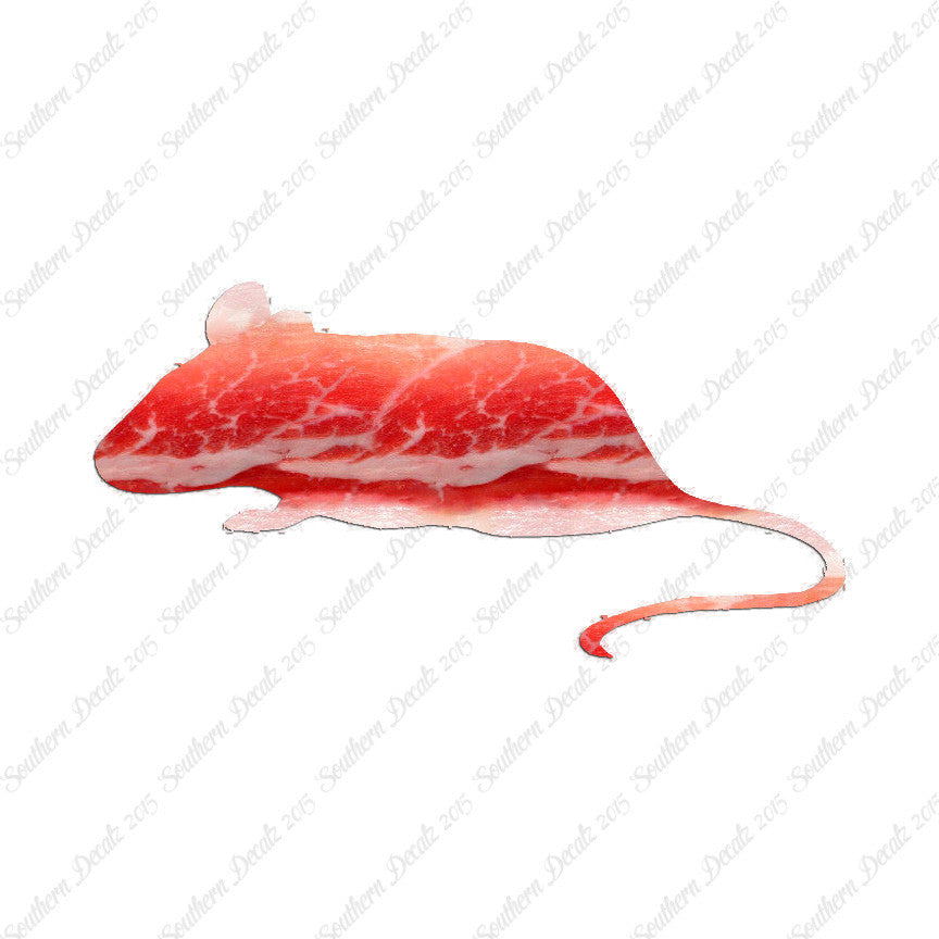Mouse Rat Vermin