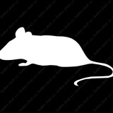 Mouse Rat Vermin
