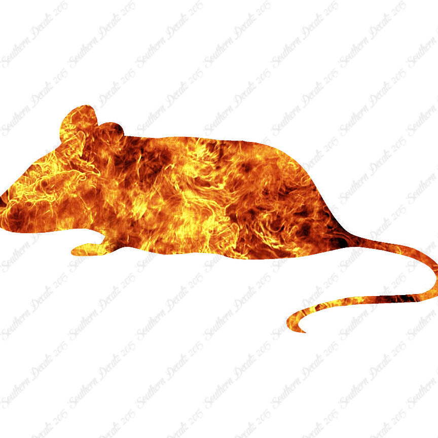 Mouse Rat Vermin