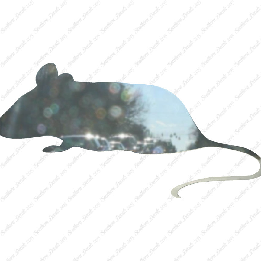 Mouse Rat Vermin