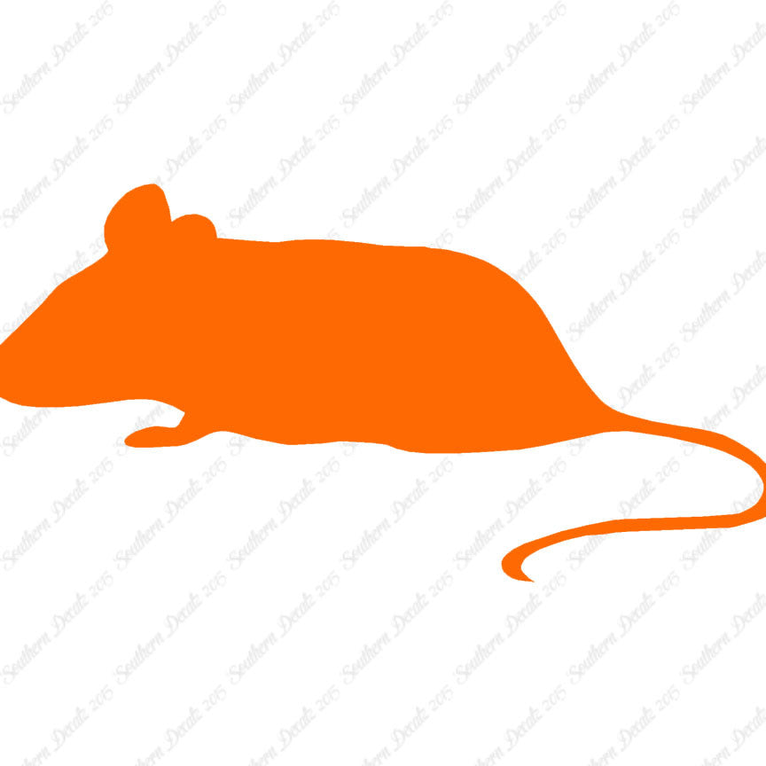 Mouse Rat Vermin