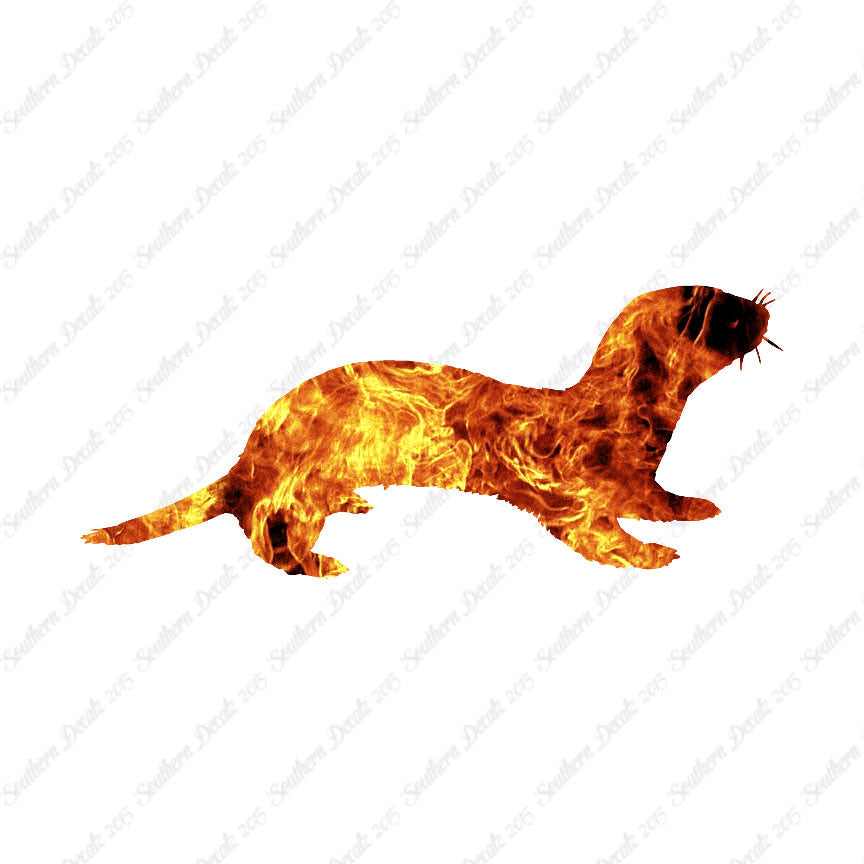 Otter Polecat Ferret