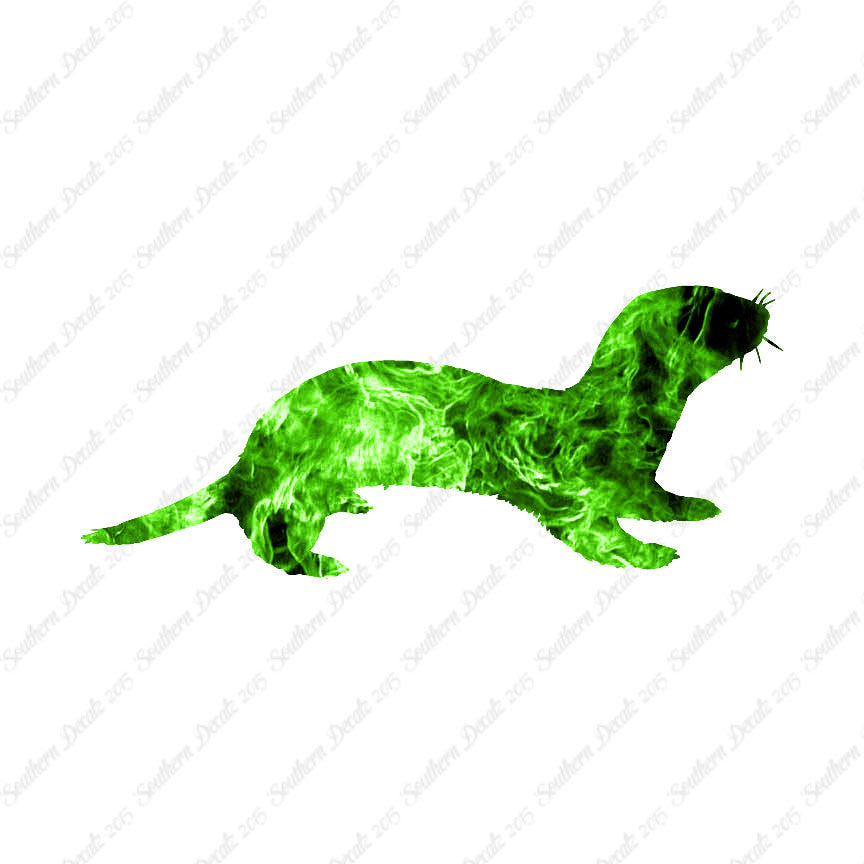 Otter Polecat Ferret