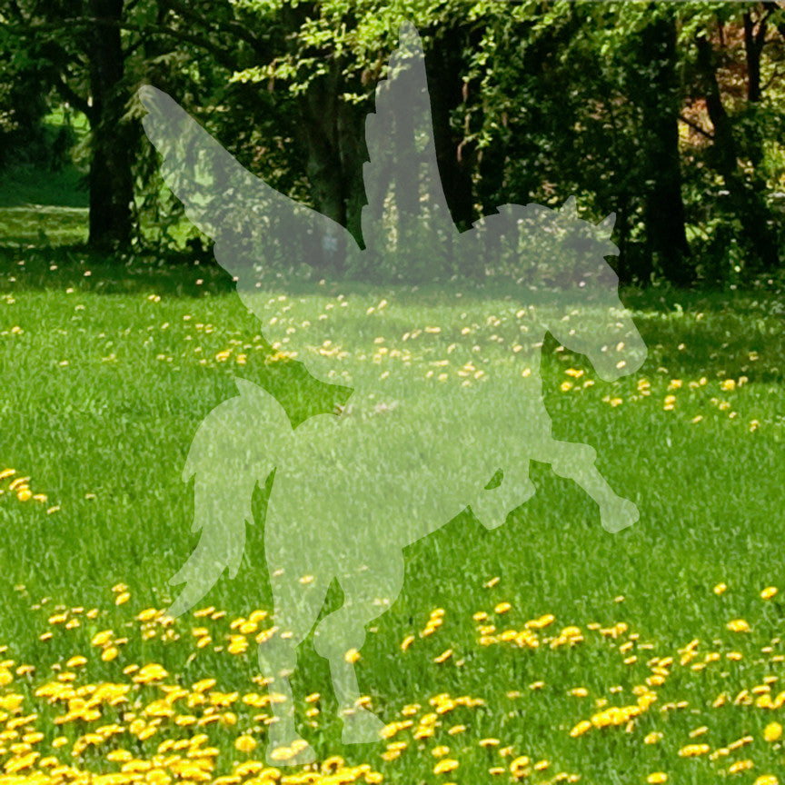 Flying Horse Pegasus
