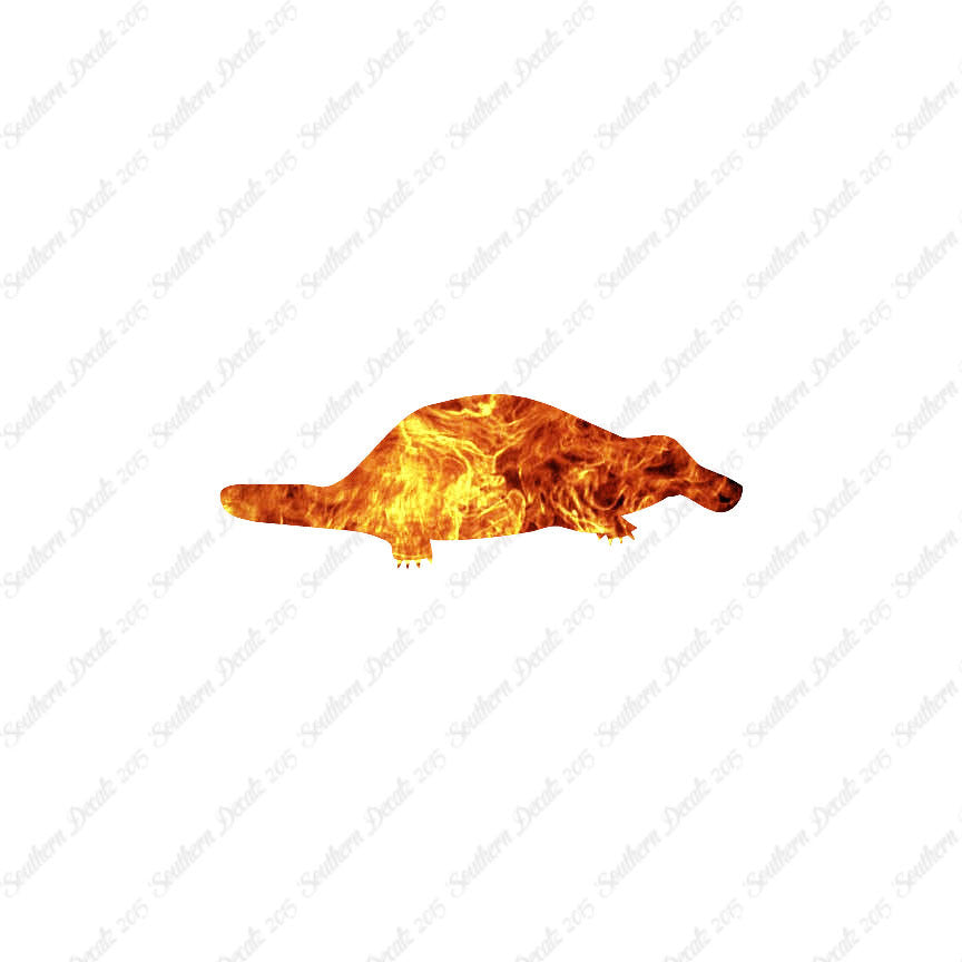 Duckbill Platypus