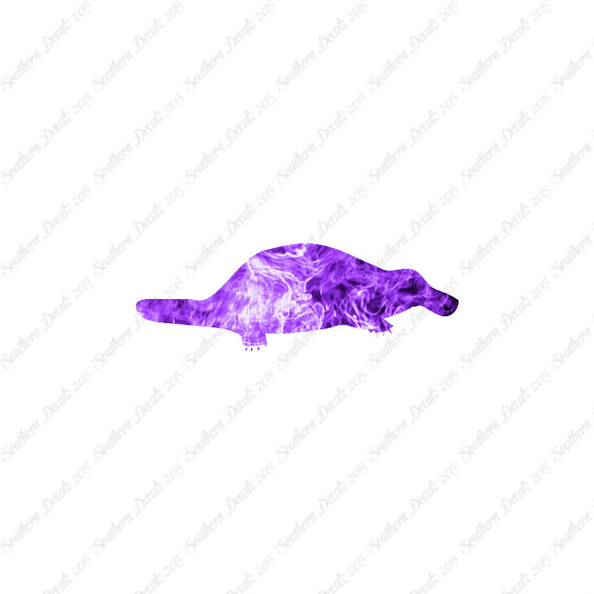 Duckbill Platypus