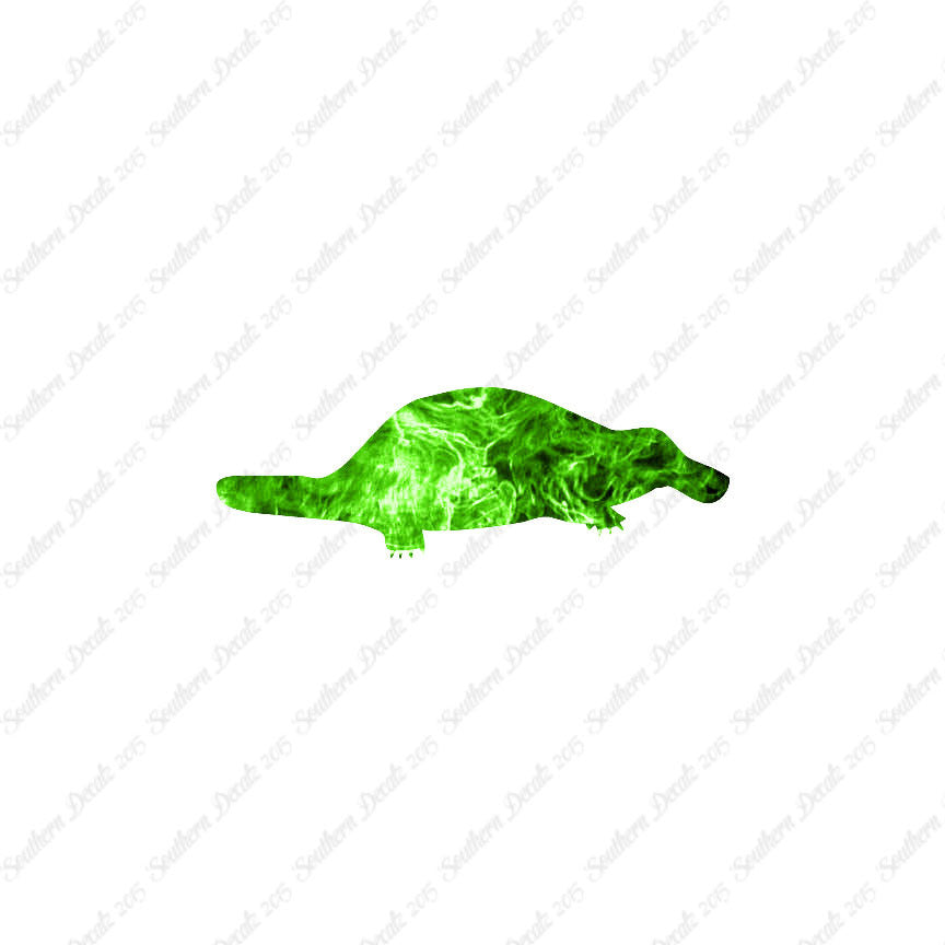 Duckbill Platypus