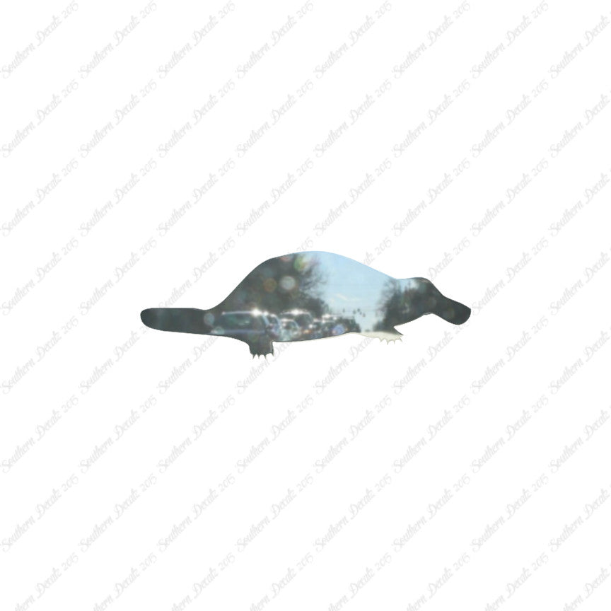 Duckbill Platypus