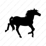Pony Art Horse Mustang