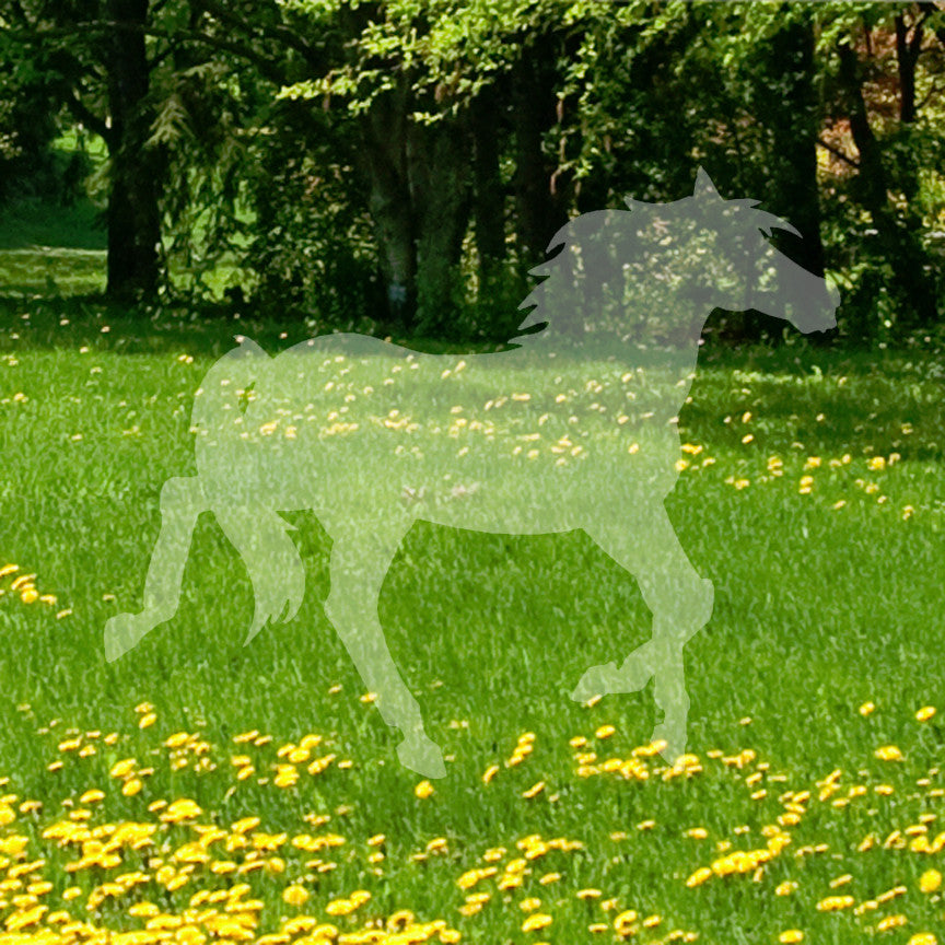 Pony Art Horse Mustang