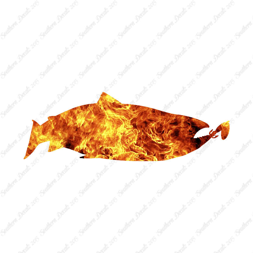 Salmon Fish Fishing