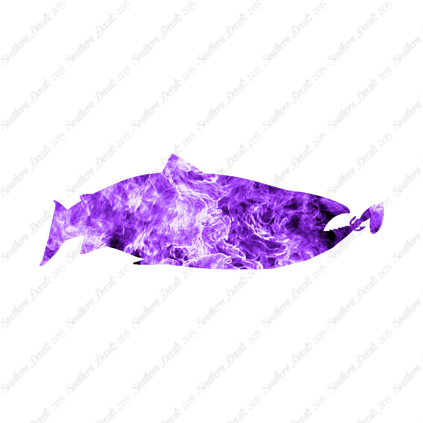 Salmon Fish Fishing