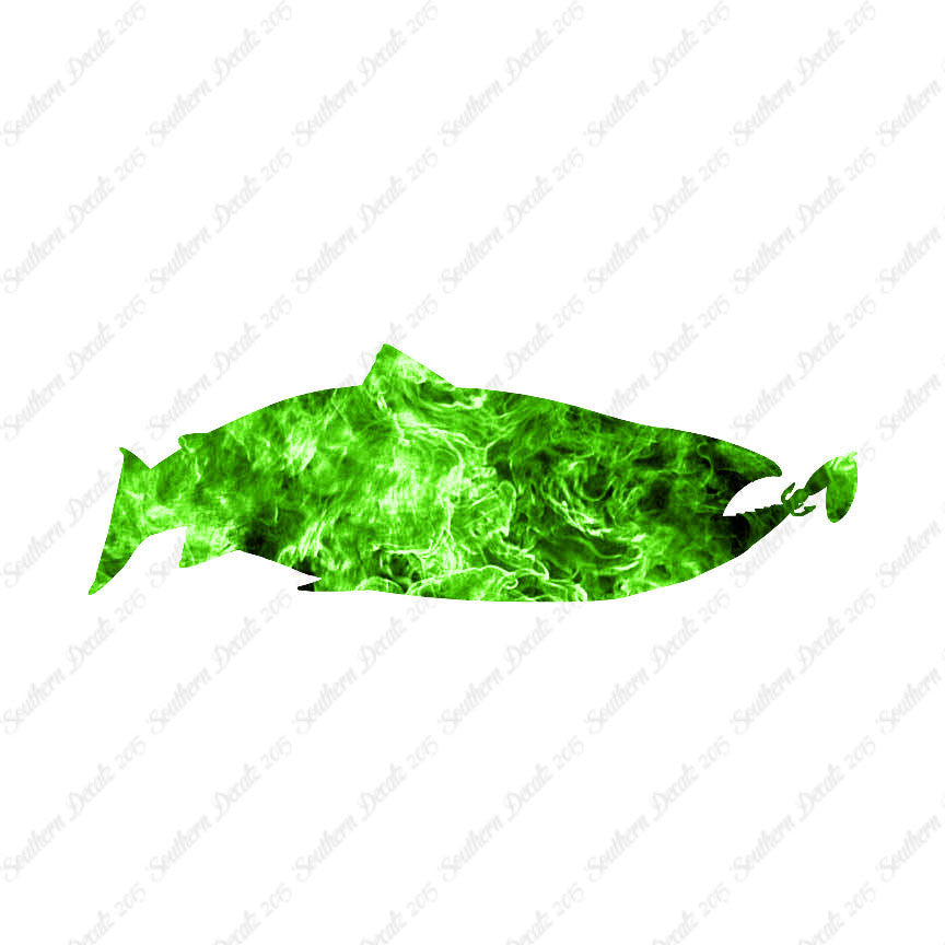 Salmon Fish Fishing