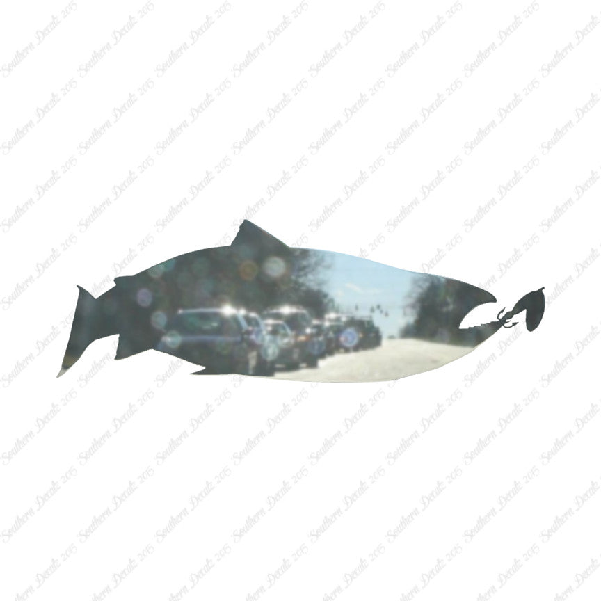 Salmon Fish Fishing