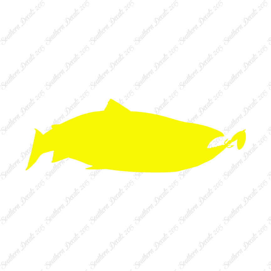Salmon Fish Fishing