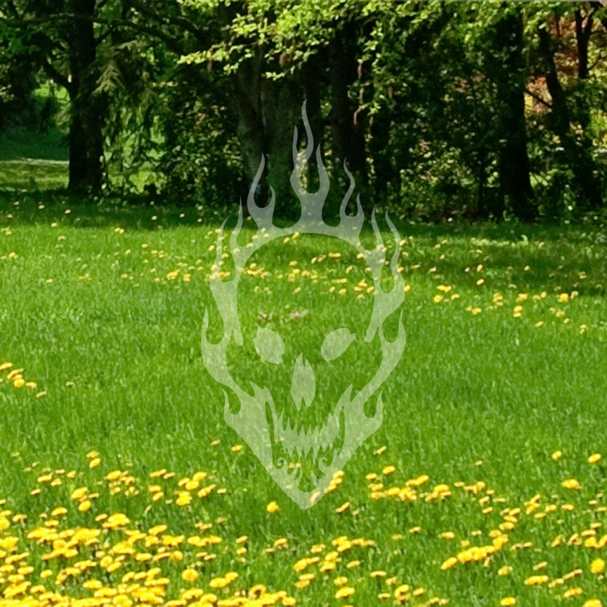 Skull Flames Fire