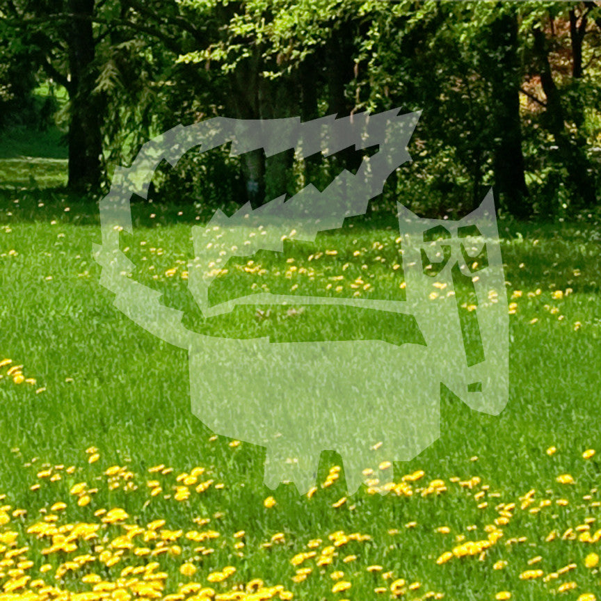 Skunk Art