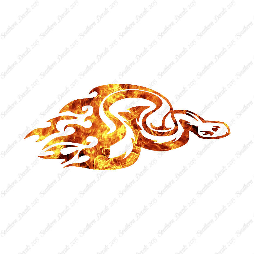 Snake Flames Fire