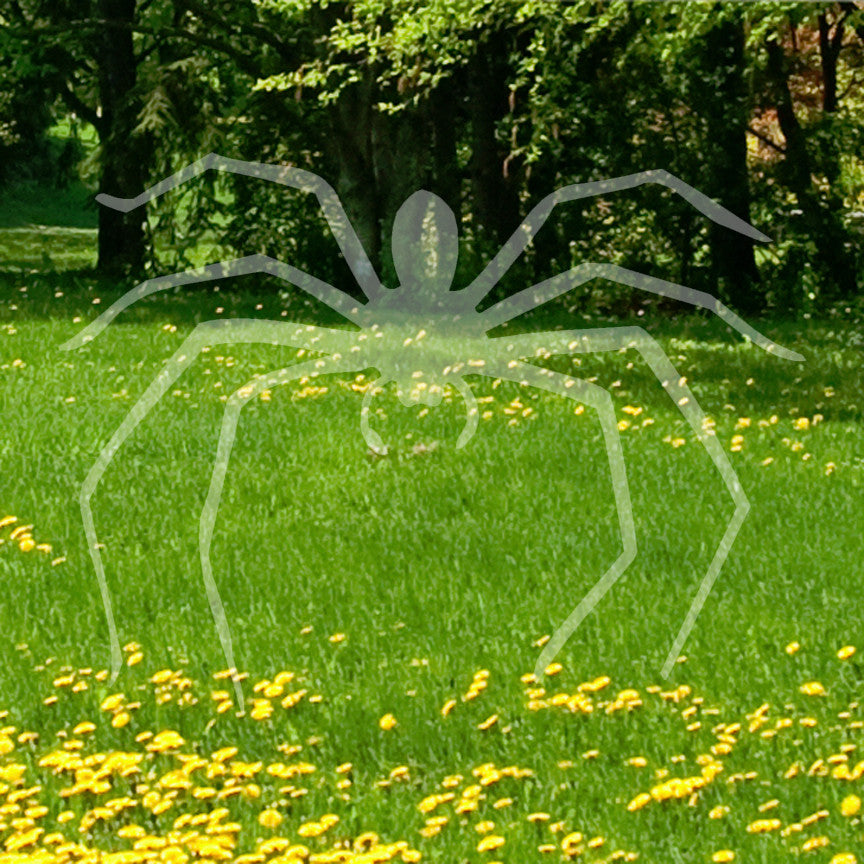 Spider Longlegs Scary