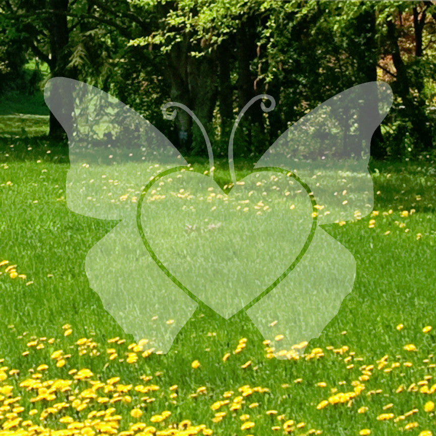 Butterfly Heart