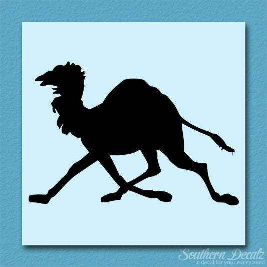 Dromedary Camel Running