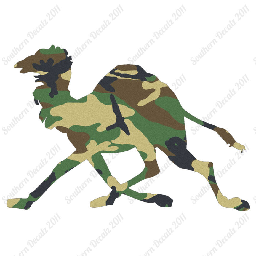 Dromedary Camel Running
