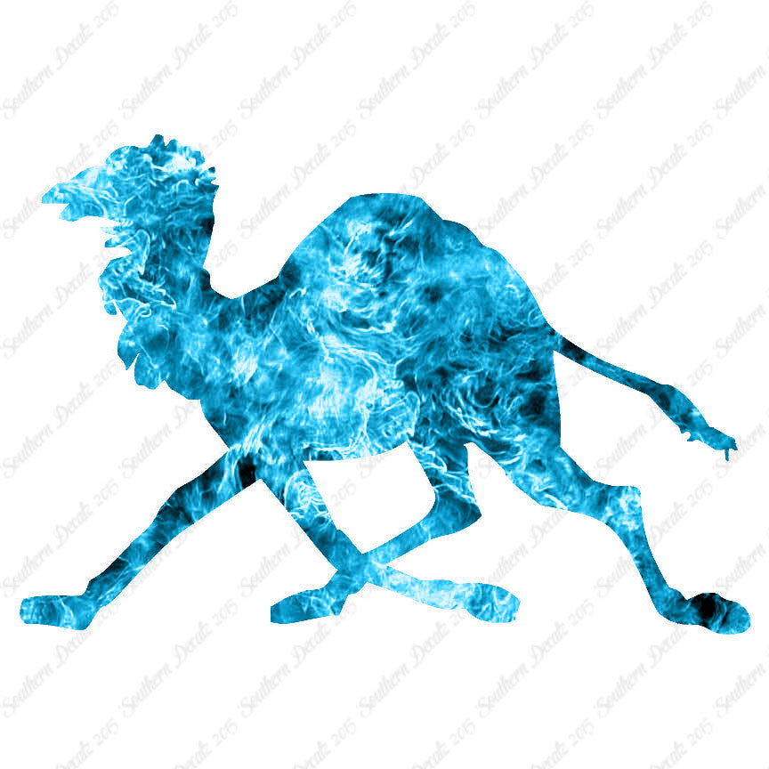 Dromedary Camel Running
