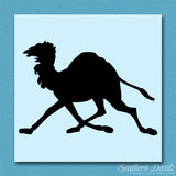 Dromedary Camel Running