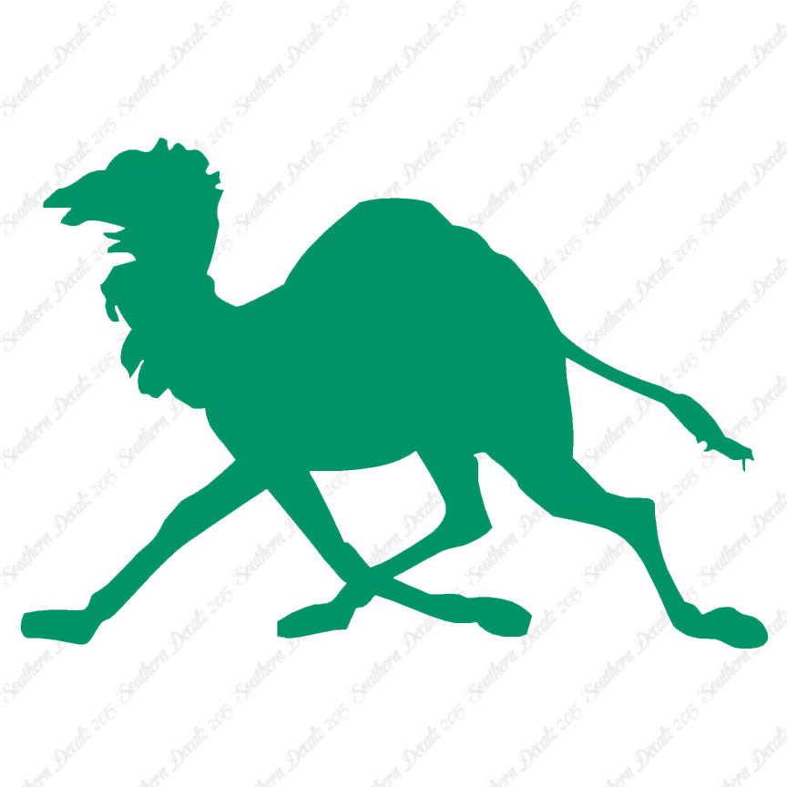 Dromedary Camel Running