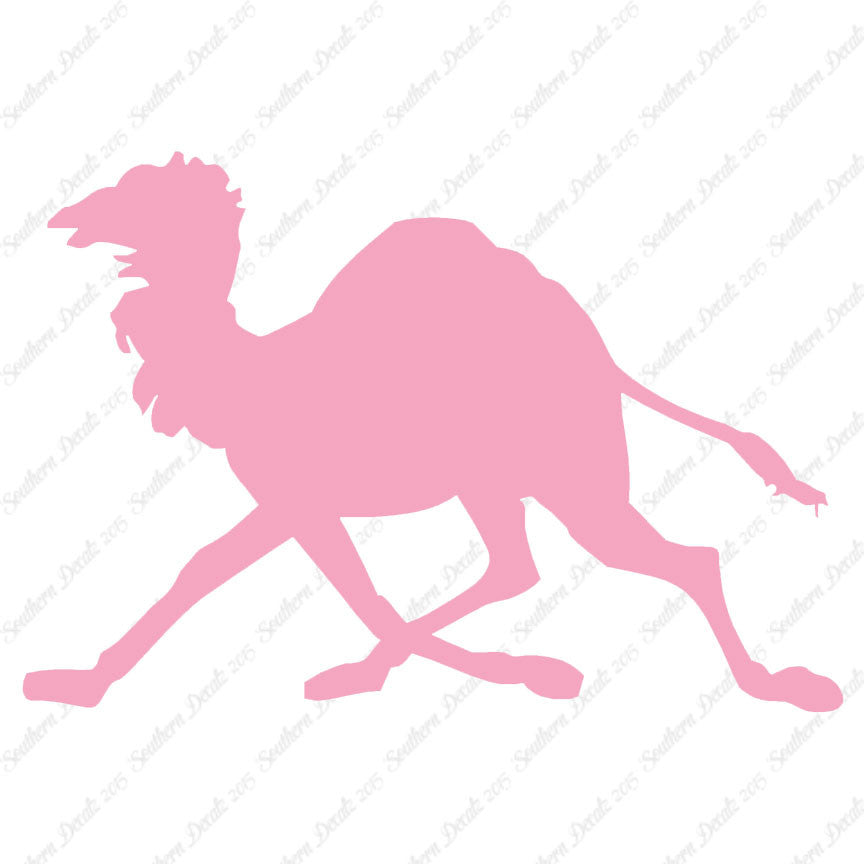 Dromedary Camel Running