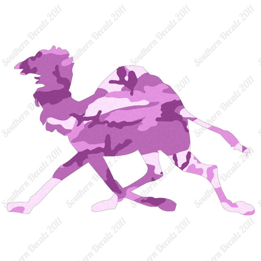 Dromedary Camel Running