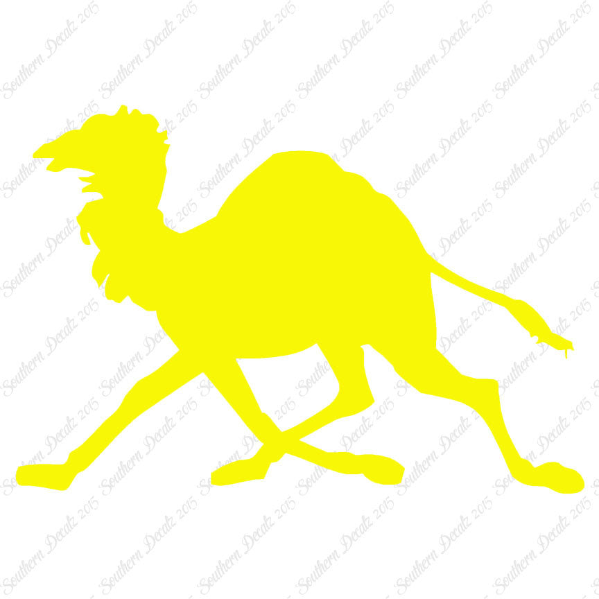 Dromedary Camel Running