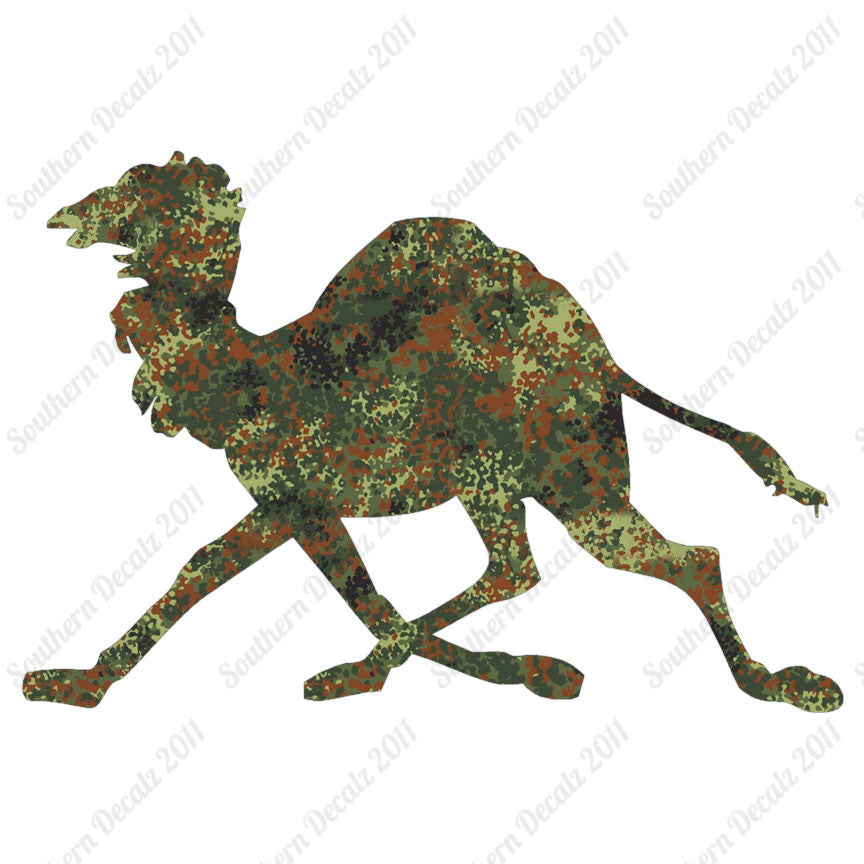 Dromedary Camel Running