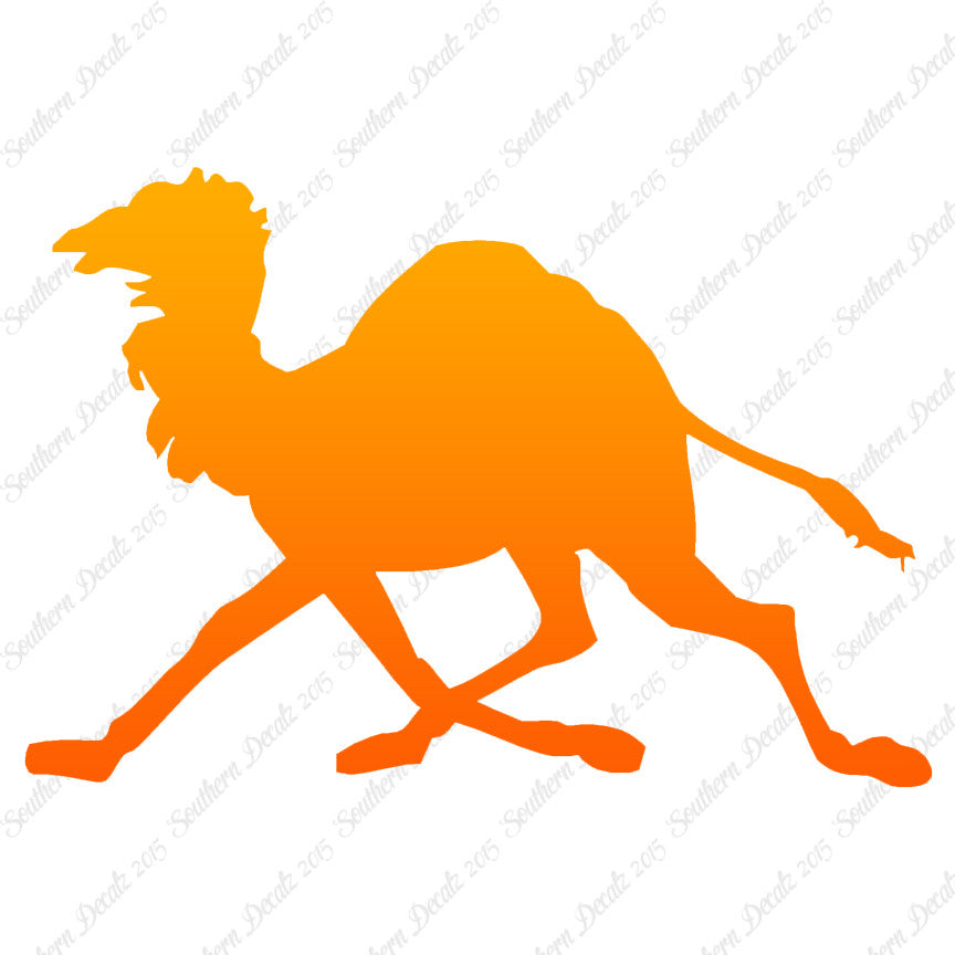 Dromedary Camel Running