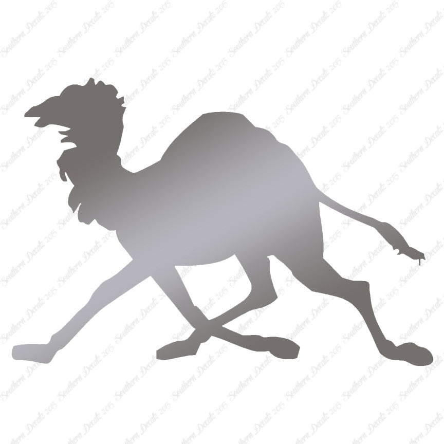 Dromedary Camel Running