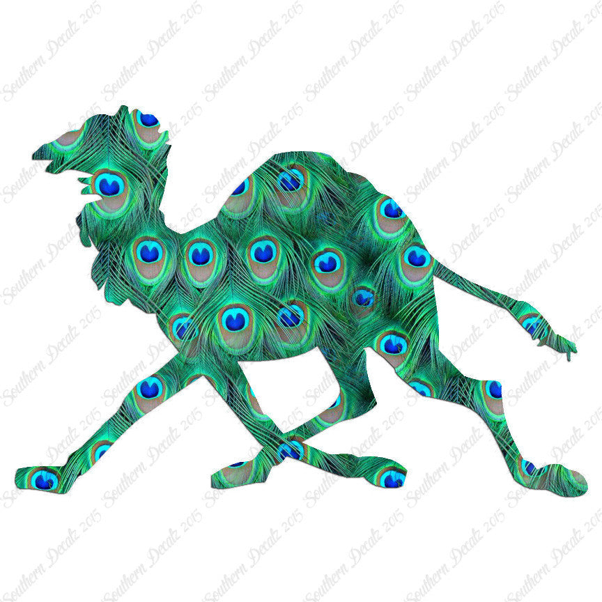 Dromedary Camel Running