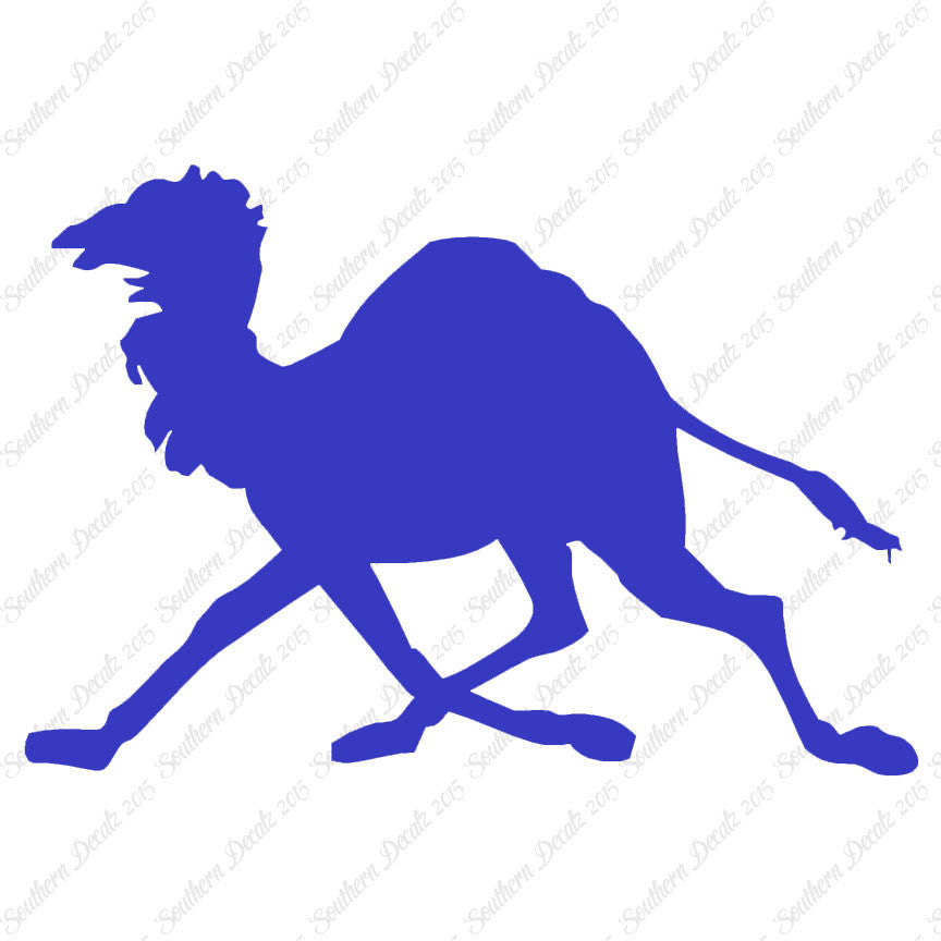 Dromedary Camel Running