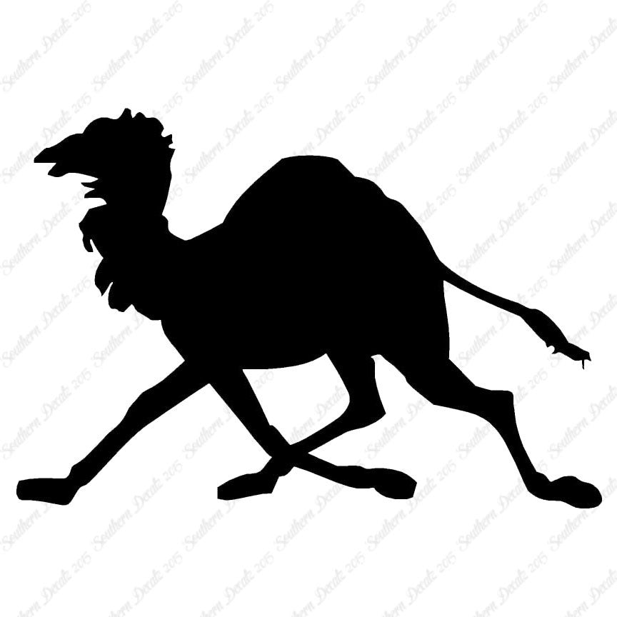 Dromedary Camel Running