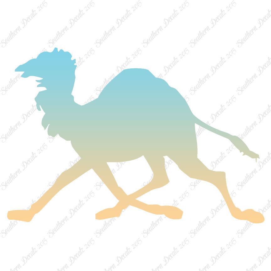 Dromedary Camel Running