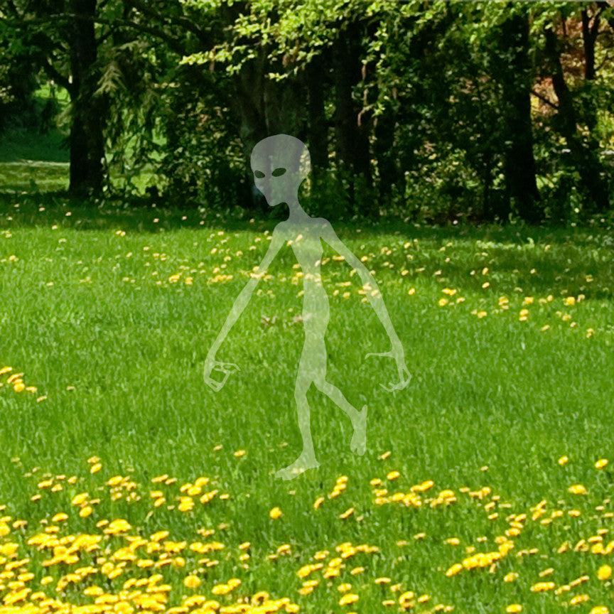 Alien Life Extraterrestrial E.T.