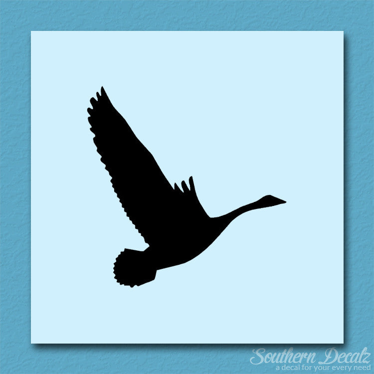 Canadian Goose Swan Flying