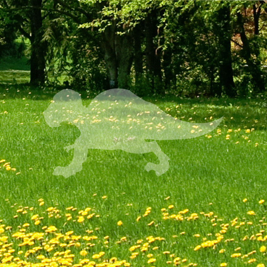 Trex Dinosaur Cute