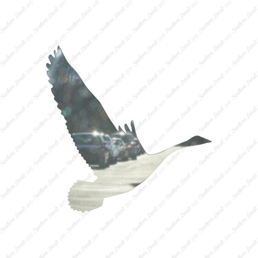 Canadian Goose Swan Flying
