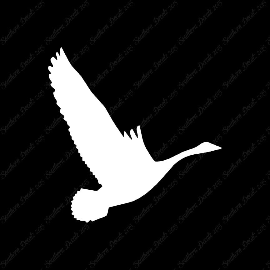 Canadian Goose Swan Flying