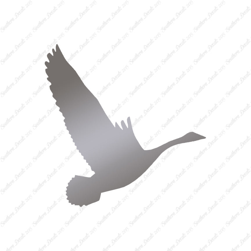 Canadian Goose Swan Flying