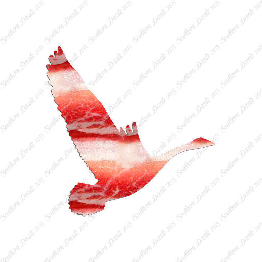 Canadian Goose Swan Flying