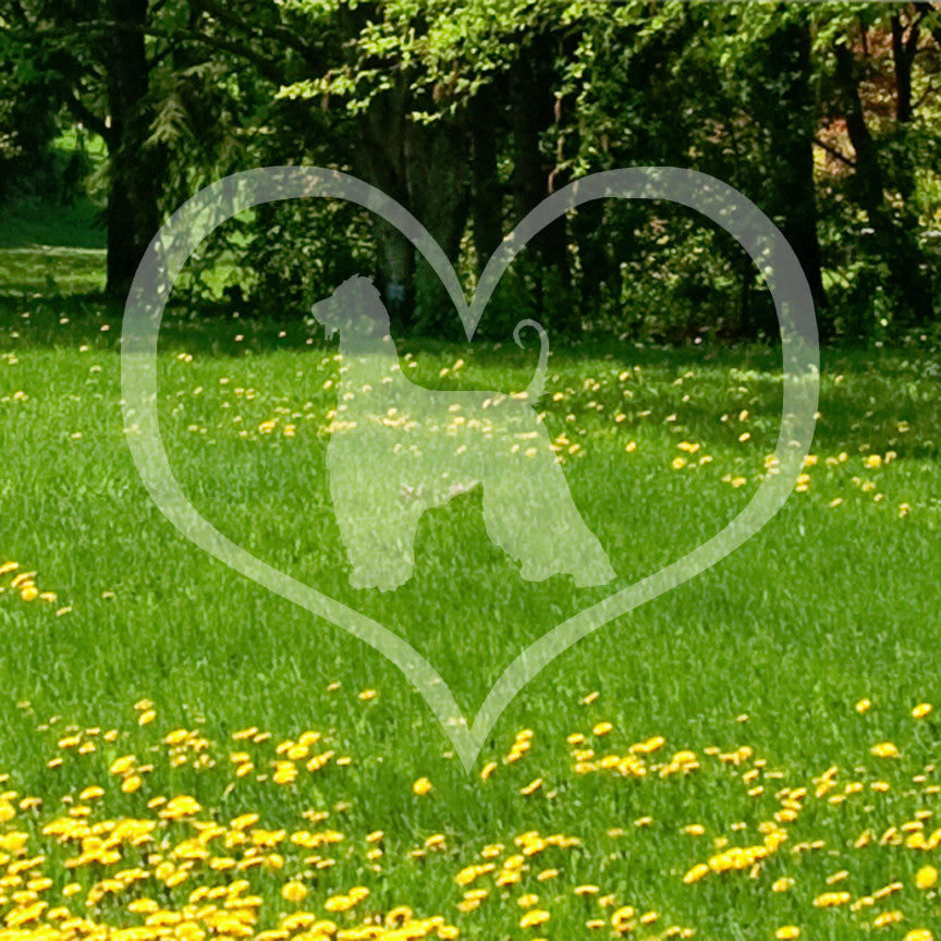 Afghan Hound Dog Heart Love
