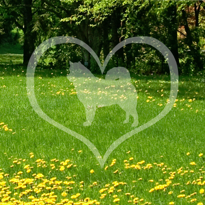 Alaskan Malamute Dog Heart Love