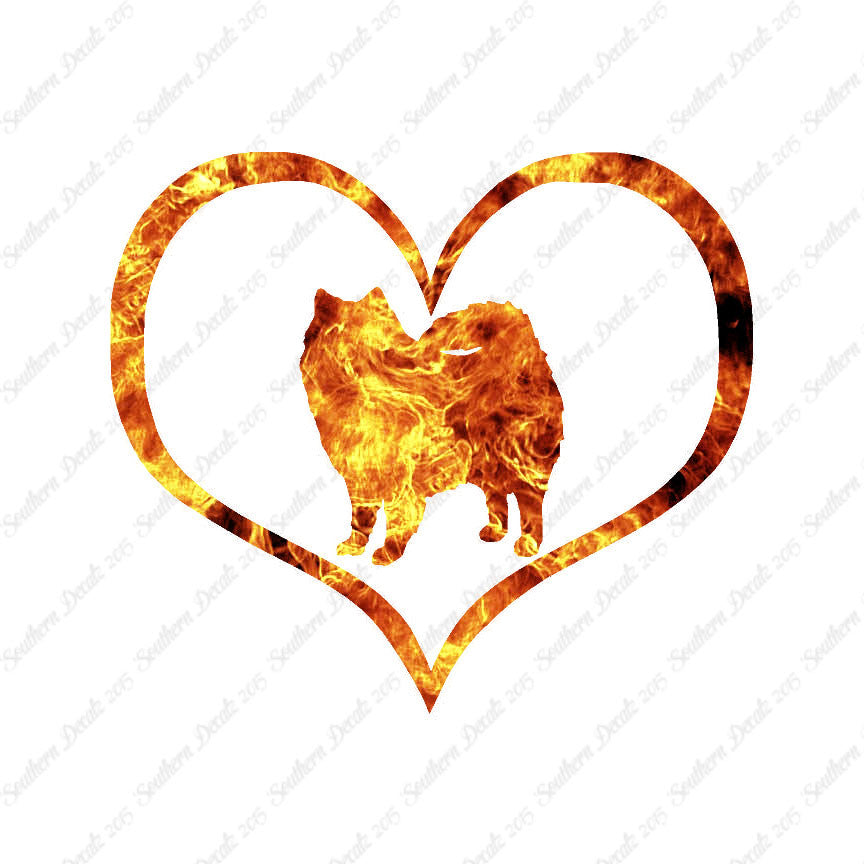 American Eskimo Dog Heart Love