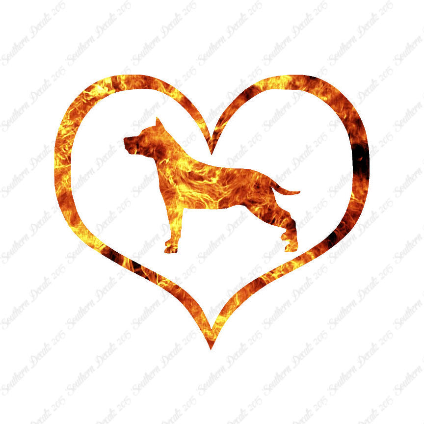 American Staffordshire Terrier Dog Heart